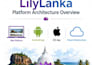 develop a custom web application using asp net core and react